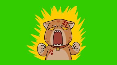 Kızgın Kedi Parlayan Animasyon - Yeşil Ekran