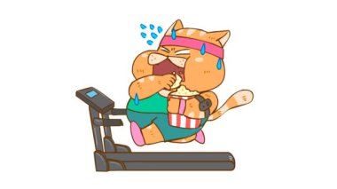 Koşu bandında Koşan Şişko Kedi