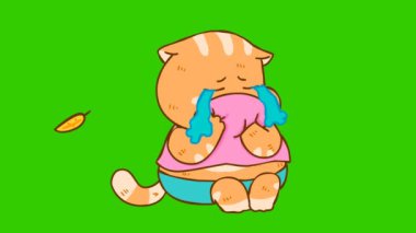 Ağlayan Şişko Kedi Animasyonu