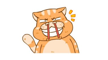 Çubuklu Komik Şişko Kedi