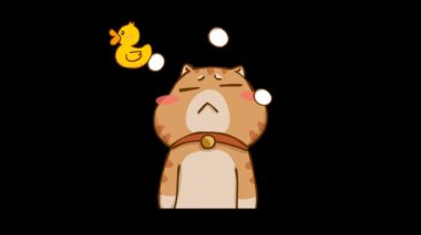 Canlandırılmış Dizzy Cat 4k Videosu