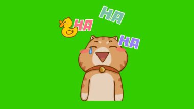Animasyon Kedi İğneleyici Gülme