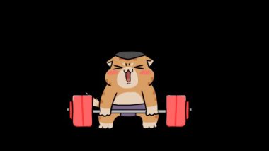 Sumo Kedi Halter Canlandırma Arkaplanı