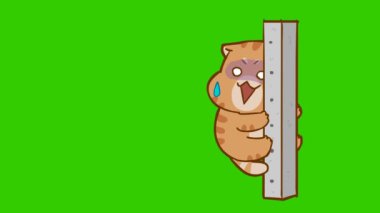 Animasyon Şişko Kedi Korktu ve Polonyalıya Sarıldı