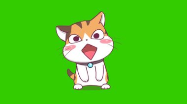 Canlı Kedi Ayakta Duruyor ve Gülümseyen Yeşil Ekran