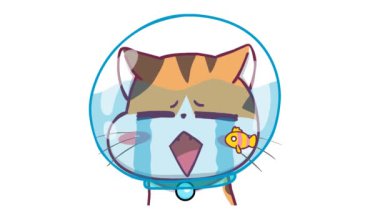 Kedi ve Japon Balığı Animasyonu