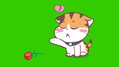 Animasyon Küçük Kedi Kalbi Kırık Gülleri Fırlatıyor 
