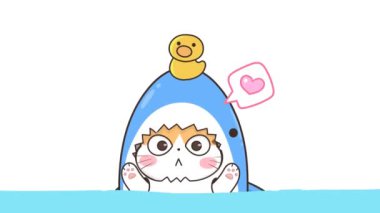 Animasyon Köpekbalığı Kostümü Yüzen Kedi