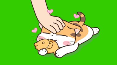 Kedi Yiyen Balıkları Okşayan Animasyon