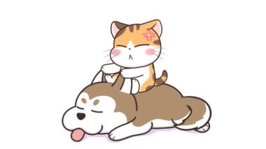 Kızgın Kedi Köpek Kulak Animasyonu 