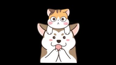 Animasyon Kedi ve Husky Dalgası