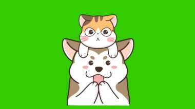 Animasyon Kedi ve Husky Dalgası