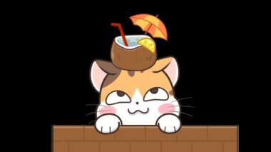 Hindistancevizli Animasyon Kedi  