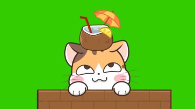 Hindistancevizli Animasyon Kedi  
