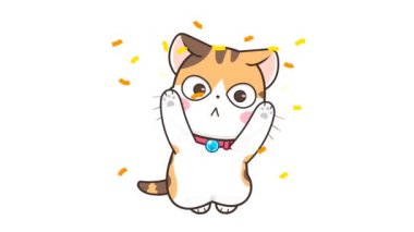 Dönen El Kedi Dansı Yükseltiyor 