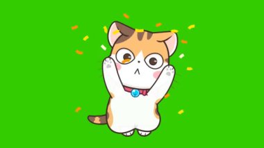 Dönen El Kedi Dansı Yükseltiyor 