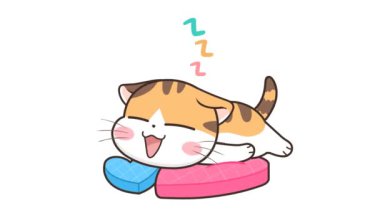 Animasyon Kedi Yastık Dizler ve Uzanır 