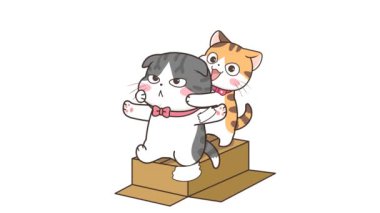 Animasyon Gri Kedi Kutuda Oynuyor