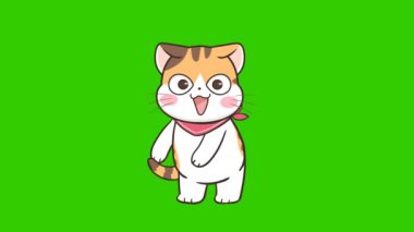 Dansçı Kedi Çizgi Filmi