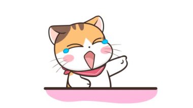Animasyon Kedi Gülme - Keying için ideal