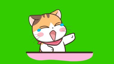 Animasyon Kedi Gülme - Keying için ideal