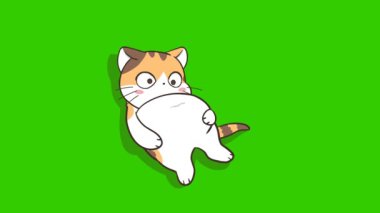 Animasyon Küçük Kedi Havuçla Göbeğini Gösteriyor