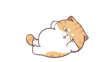  Hareketli Komik Kedi mekik çekiyor.