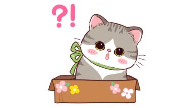 Animasyon Gri Kedi Bir Karton Kutuda Şaşırdı