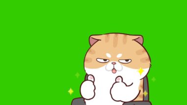 Ofisteki Animasyon Komik Kedi Dönen Sandalye Başparmaklarını Veriyor
