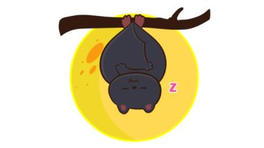 Canlandırılmış Cadılar Bayramı Asılı Yarasa Dolunayı