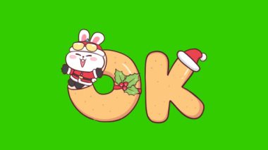 Noel Baba Kostümlü Animasyon Tavşanı 'Tamam' diyor.