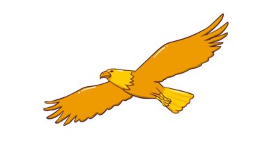 Animasyon Altın Kartal Uçan Yüksek