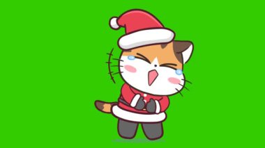 Canlandırılmış Santa Cat Gülme ve Gösterme - Yeşil Ekran