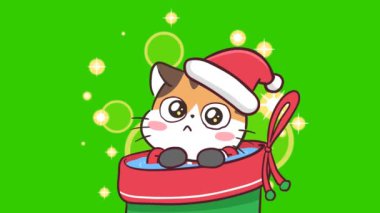 Noel Baba Kostümlü Ağlayan Kedi - Yeşil Ekran