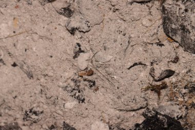 Küllerin fotoğrafını kapat