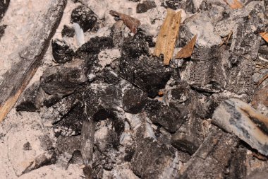 Küllerin fotoğrafını kapat