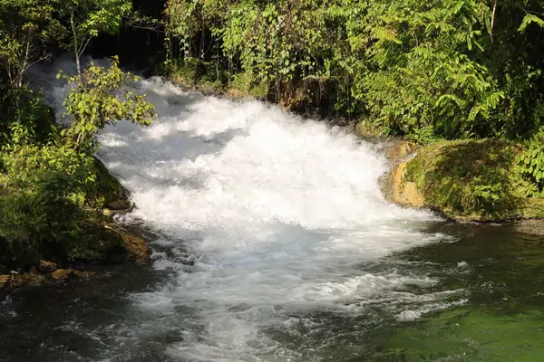 Strong river current from the forest