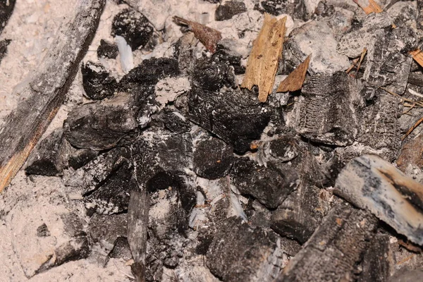 Küllerin fotoğrafını kapat