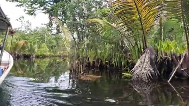 Bela Vista Natureza Urisa Village Kaimana Regency Papua Ocidental Indonésia — Vídeo de Stock