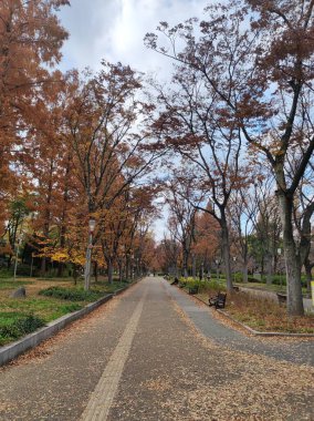 Osaka 'daki şehir parkı (Utsubo Parkı).