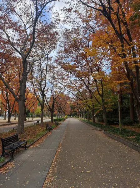 Osaka 'daki şehir parkı (Utsubo Parkı).