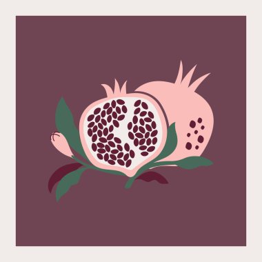 Olgun bir nar elde çizilmiş vektör çizimi. Tohumlu, çiçekli ve yapraklı yarım nar. İç dekorasyon, kartlar, baskılar için.