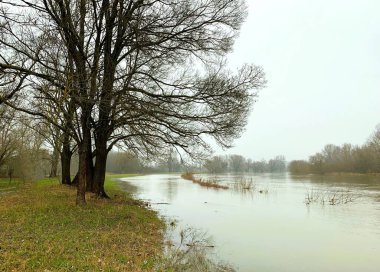 Avusturya 'daki nehir taşar.