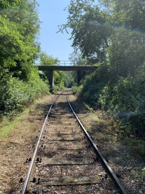 Avusturya 'nın güneyindeki terkedilmiş bir tren yolunun rayları, bugünlerde tramvaya binebileceğiniz bir yer..
