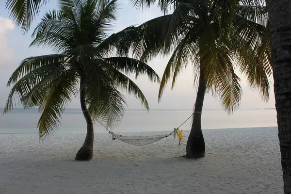 Gün batımında hamak palmiye ağaçları arasında uzanıyordu.