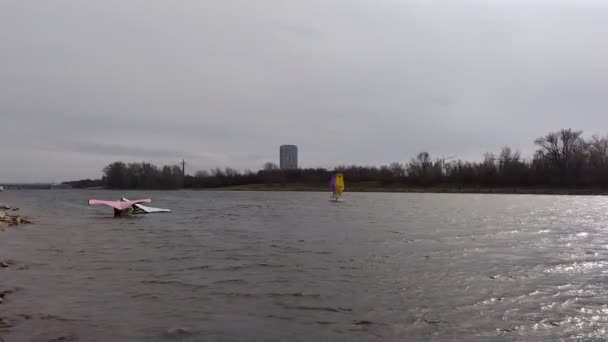 2024年2月27日 奥地利维也纳 多瑙河上的翼翼翼 一个冲浪运动员拿着黄色和紫色的帆在水面上滑行 转身掉进了水里 两名仍在水里的运动员正准备上船 — 图库视频影像