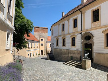 Mikulov, Çek Cumhuriyeti, 19 Haziran 2022: Güneşli bir günde Mikulov kasabasında muhteşem evleri olan küçük bir sokak manzarası.