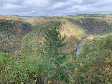 Pensilvanya 'nın Büyük Kanyonu, Pine Creek Vadisi olarak da bilinir, yaklaşık 1500 feet derinliğiyle 70 km boyunca uzanır. PA Grand Canyon, Tioga Eyalet Ormanı 'nın bir parçasıdır. Doğal Yer İmi