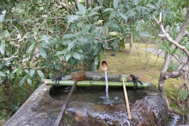 Classic Japanese water fountain for hand washing outside a temple. Fountain is made out of bamboo; water runs onto a natural stone basin, ladle is used for scooping up water. Surrounded by greenery clipart