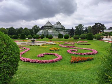 Viyana, Avusturya, 27 Haziran 2024: Schoenbrunn Palace Park, yaz mevsiminde güzel renkli çiçekler ve çeşmelerle. Palmenhaus (palmiye evi, anıtsal bir sera) arka planda.